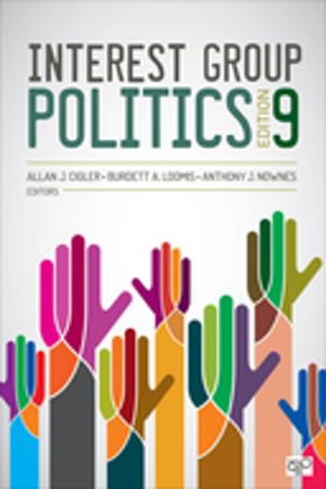Cover of the book Interest Group Politics by S K Kulshrestha