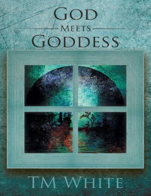 Cover of the book God Meets Goddess by Misty Reddington