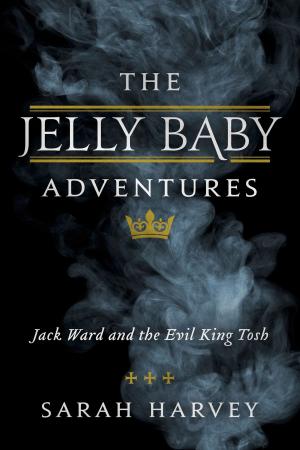 Book cover of The Jelly Baby Adventures