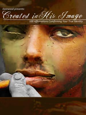 Cover of Created in His Image