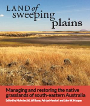 Cover of the book Land of Sweeping Plains by Thomas Simonsen