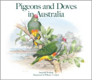Cover of the book Pigeons and Doves in Australia by Richard  Thomas, Sarah Thomas, David Andrew, Alan McBride
