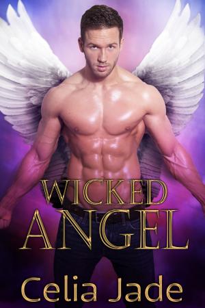 Cover of the book Wicked Angel by Julie Lynn Hayes, S.L. Danielson