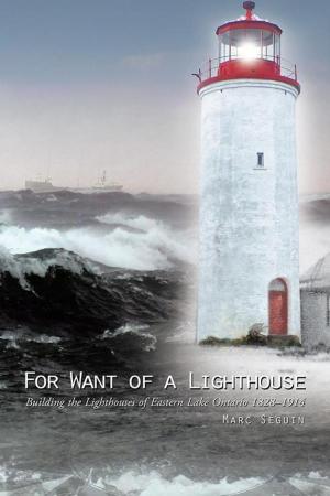 Cover of the book For Want of a Lighthouse by Merrill Phillips