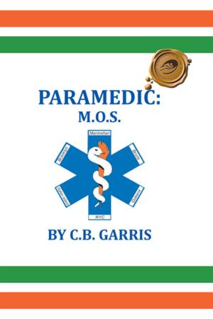 Cover of the book Paramedic: M.O.S. by Phil Boast