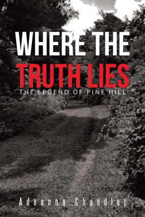 Cover of the book Where the Truth Lies by Brigitta Barnes