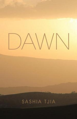 Cover of the book Dawn by Mohammad Salim Khan