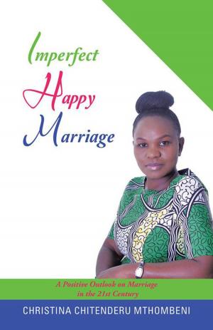 Cover of the book Imperfect Happy Marriage by Daniel Delatour