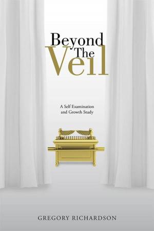 Cover of the book Beyond the Veil by Bruce Blasius