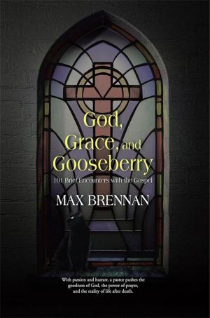 Cover of the book God, Grace, and Gooseberry by Alan D Catchpoole