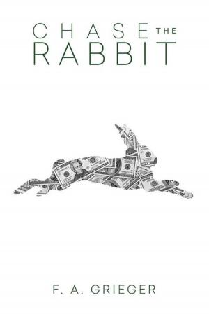 Cover of the book Chase the Rabbit by Darlene Marcusson