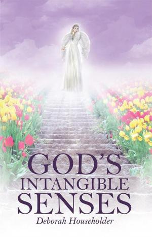 Cover of the book God's Intangible Senses by Jerry Mungadze PhD.