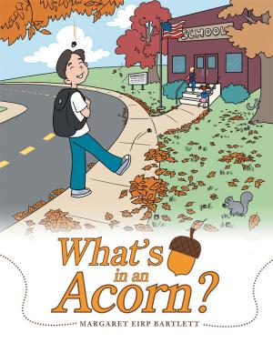 Cover of the book What’S in an Acorn? by Rachel Hamilton
