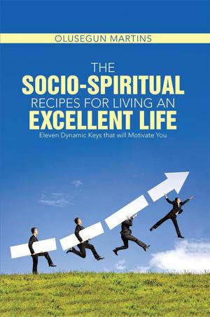 Cover of the book The Socio-Spiritual Recipes for Living an Excellent Life by Davi Burke