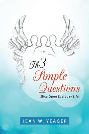 Cover of the book Th3 Simple Questions by GJ Neumann