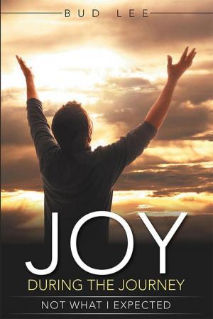 Cover of the book Joy During the Journey by Jacqueline E. Waters