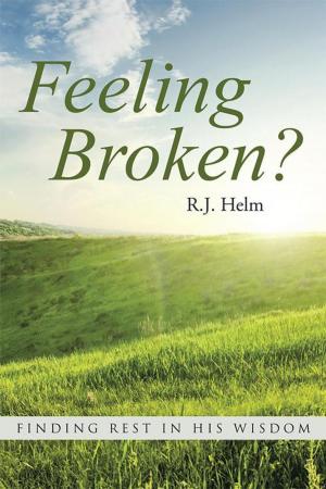 Cover of the book Feeling Broken? by Daniel Roberts Ph.D