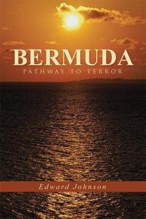 Cover of the book Bermuda-Pathway to Terror by Christine Beumier