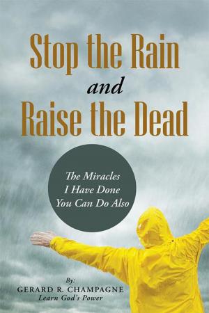 Cover of the book Stop the Rain and Raise the Dead by Paul Andrson