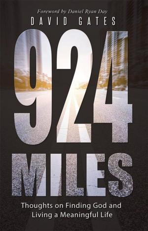 Cover of the book 924 Miles by Micheal J. Darby