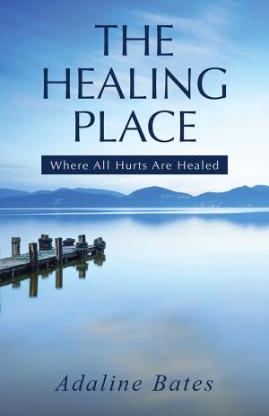 Cover of the book The Healing Place by M. Estes
