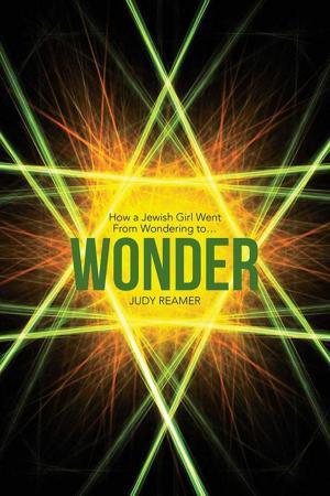 Cover of the book Wonder by Hamisu Salihu