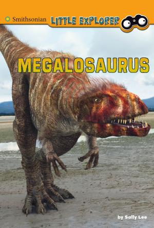 Book cover of Megalosaurus