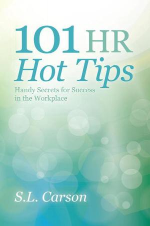 Cover of the book 101 Hr Hot Tips by Jeremy Bechen