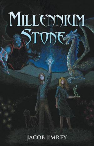Cover of the book Millennium Stone by Dr. Mattie L. Solomon