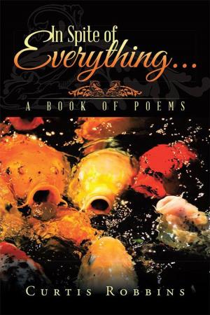 Cover of the book In Spite of Everything... by Ray Melnik