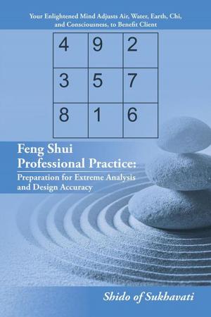 Cover of the book Feng Shui Professional Practice: Preparation for Extreme Analysis and Design Accuracy by Dick Webb
