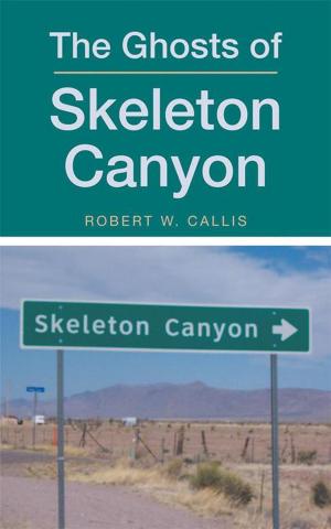 Cover of the book The Ghosts of Skeleton Canyon by Sally M. Chetwynd