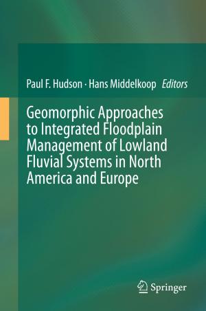 Cover of the book Geomorphic Approaches to Integrated Floodplain Management of Lowland Fluvial Systems in North America and Europe by Lawrence Lin, A. S. Hedayat, Wenting Wu