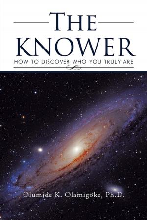 Cover of the book The Knower by Darren Darrell Smith