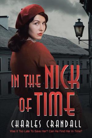 Cover of the book In the Nick of Time by Romesh Chopra