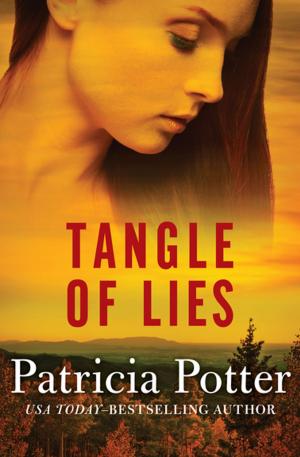 Book cover of Tangle of Lies