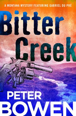 Cover of the book Bitter Creek by Nancy Springer