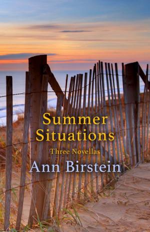 Cover of the book Summer Situations by Mary Elise Monsell