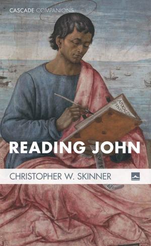 Cover of the book Reading John by Donald R. Fletcher