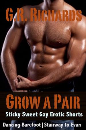 Cover of the book Grow A Pair: Sticky Sweet Gay Erotic Shorts by Annie West