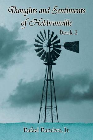 Cover of the book Thoughts and Sentiments of Hebbronville by Duane Lance Filer