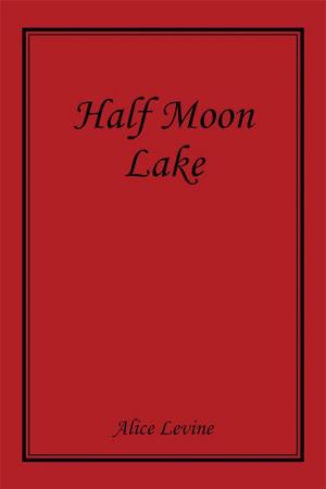 Cover of the book Half Moon Lake by Wayne Hancock