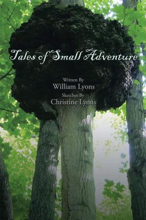 Cover of the book Tales of Small Adventure by Daniel Moran