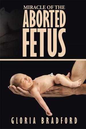 Cover of the book Miracle of the Aborted Fetus by Annette Rasp