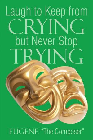 Cover of the book Laugh to Keep from Crying but Never Stop Trying by Colleen Fountain Skinner