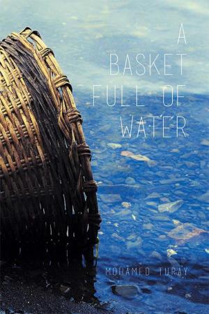 Cover of the book A Basket Full of Water by George Sjouke Riemersma