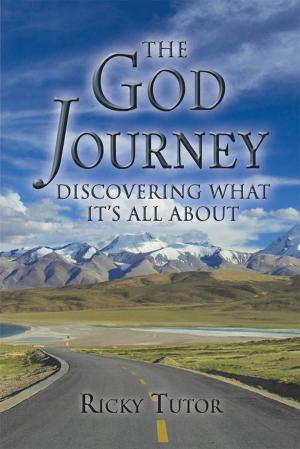 Cover of the book The God Journey by James Herbert Edwards