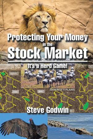 Cover of the book Protecting Your Money in the Stock Market by Monique Ammala