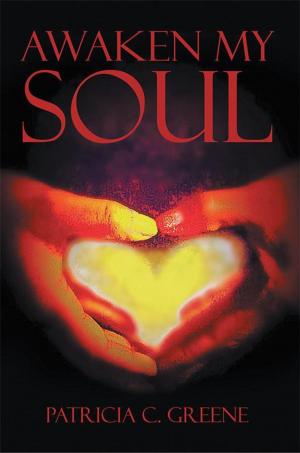 Cover of the book Awaken My Soul by Bishop Abdul K. Kargbo