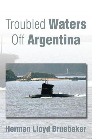 Book cover of Troubled Waters off Argentina